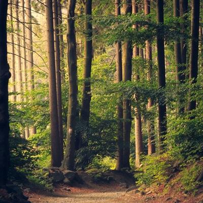 天博平台(中国)官方网站